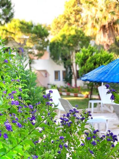 Yakamoz Otel Ortakent