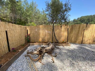 Captain's Tiny House