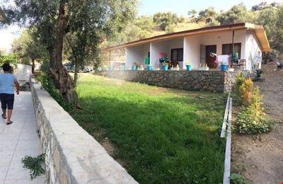 Arslan Pansiyon Hayıtbükü