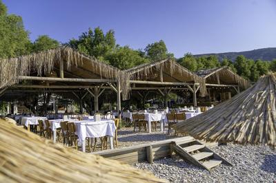 Aylin Ahsap Evler Palamutbuku