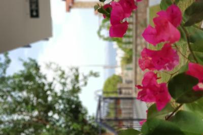 Datça Zeytin Evleri