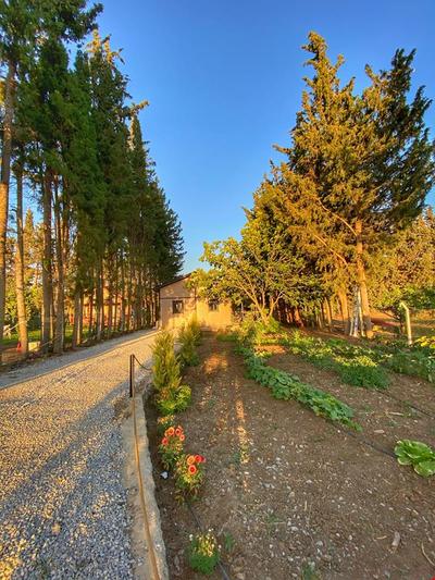 Palaemon Datça & Villa Pusulam