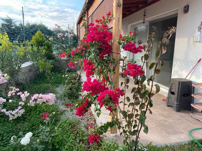 Zakkum Evleri Datça