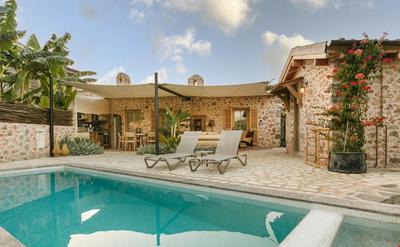 Ada Dreams | History (+13)