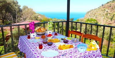 Faralya Gül  Pansiyon