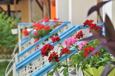 Tokgöz Butik Apart Otel