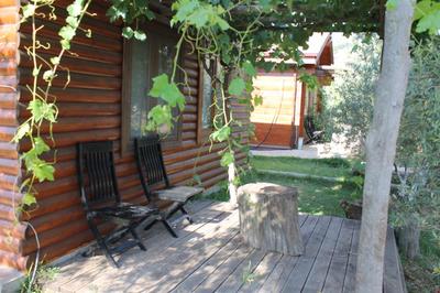 Sakin Vadi Winehouse