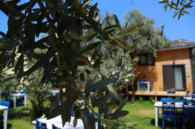 Selimiye Zeytin Dalı Butik Otel Beach