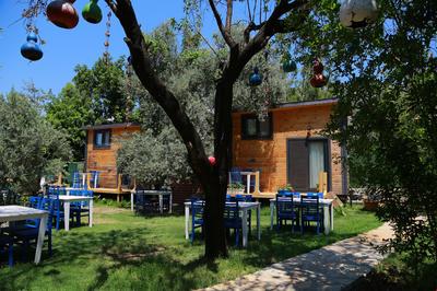 Selimiye Zeytin Dalı Butik Otel Beach