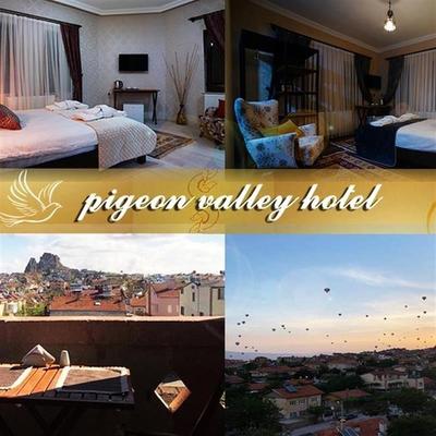 Pigeon Valley Hotel