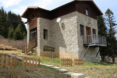 Cambasi Armutalan Dag Evleri