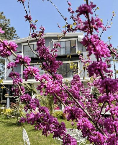 Lalezar Sea Garden Hotel