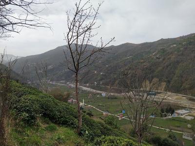 Topçu Dede Dere Evi 