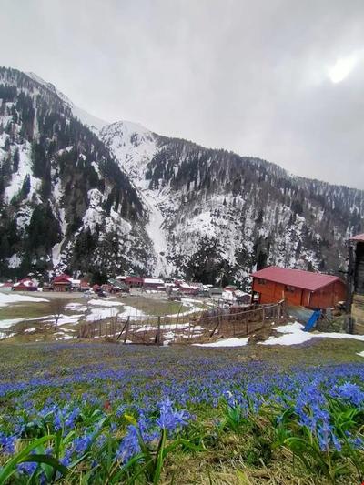 Ayder Yardımcı Apart