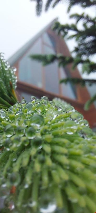 Ayder Yayla Bungalov