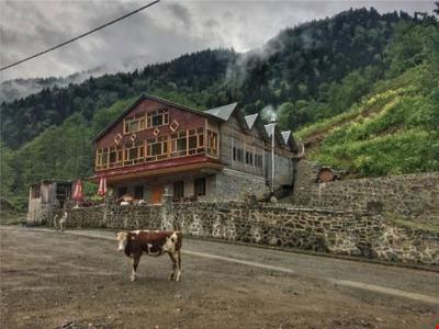 Meydan Şimşir Bungalov