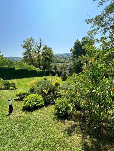 Sapanca Tinmin Bungalow