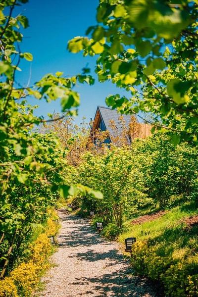 Sapanca Kozb Bungalov