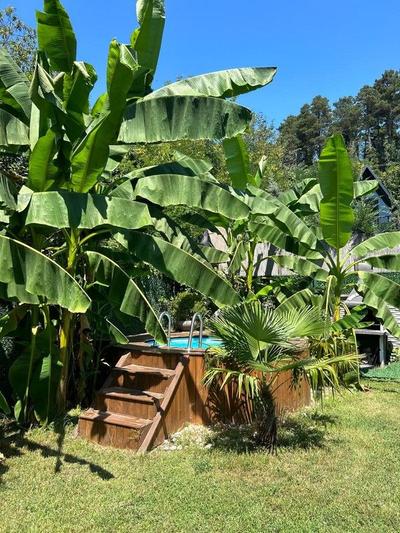 Sapanca Tinmin Bungalow