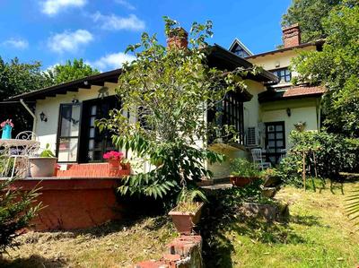 Villa Grande Albero Sapanca