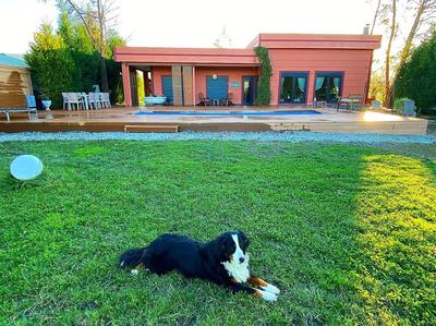 Lake Harmony Sapanca