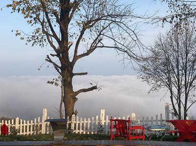 Premium Gold Sapanca