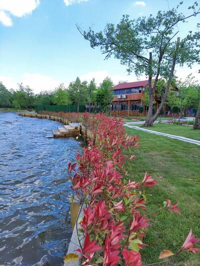 Regulus Sapanca Hotel