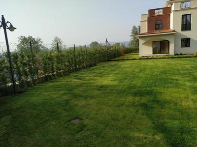 Sapanca Villa Natura Papatya