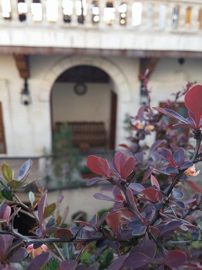 Türkmen Konağı Butik Otel