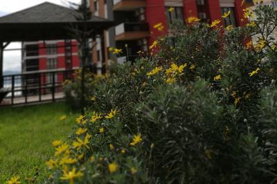 North Pearl Residance