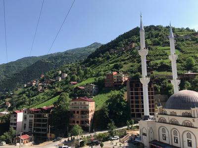 Mavi Köşk Uzungöl Apart Otel
