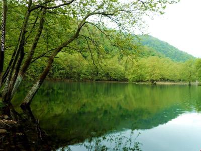 Huzur Motel Bungalov