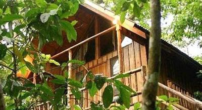 Bayrams Tree Houses