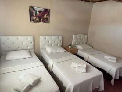 Otel Nese