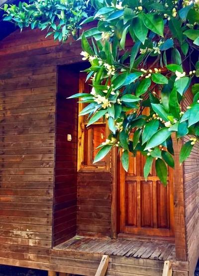 Sheriff Olympos Pension