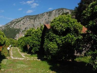 Olympos Deep Green Bungalows