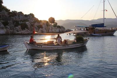 Telemenin Evi