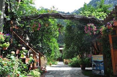 Türkmen Tree Houses