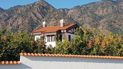 Mandarin Bed & Breakfast