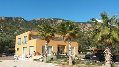 Camelion Guesthouse