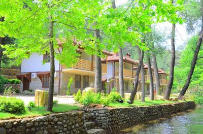 Eco Family Park Motel