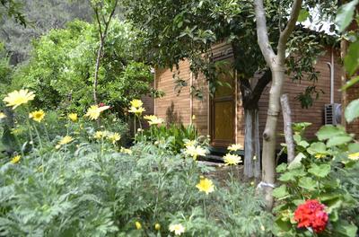 Olympos Mercan Pansiyon