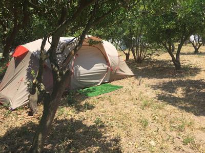 Bodrum Masali Camping