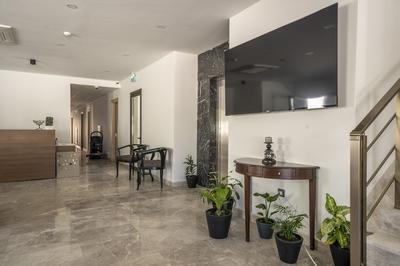 Olive Tree Hotel