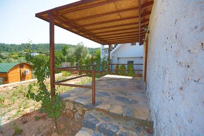 Tomato Bodrum