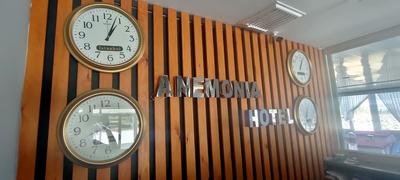Hotel Anemonia