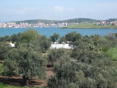Hotel Selina