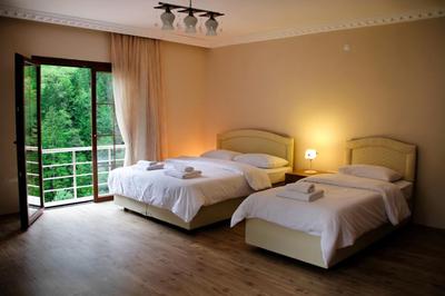 Uzungol Taskiran Ela Hotel