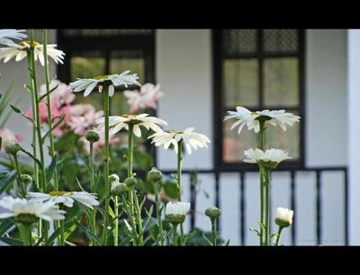 Villa Rhapsody Pension