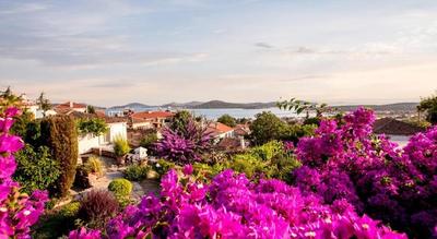 Begonvilla Evleri